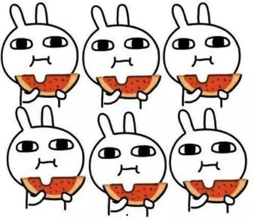 小呆呆吃瓜摊老板,揭秘吃瓜背后的故事