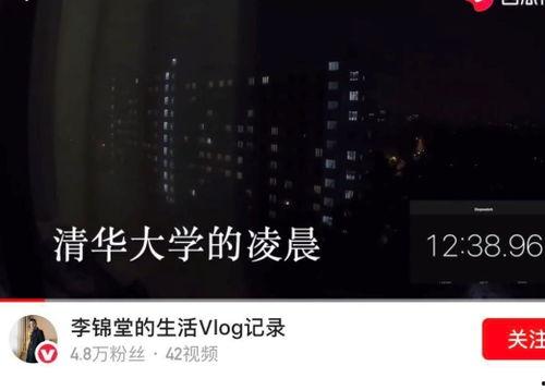 吃瓜跳舞vlog视频,趣味横生的美食与舞蹈之旅