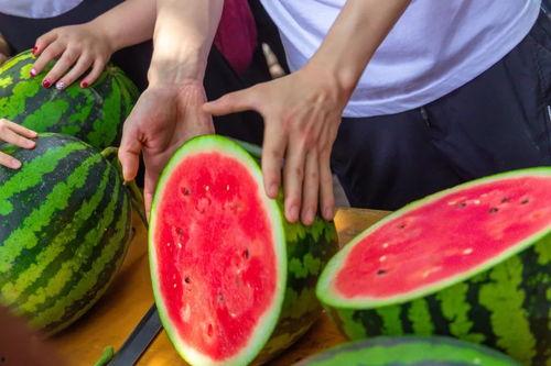 自由吃瓜 小组,揭秘网络社交圈的轻松娱乐之道