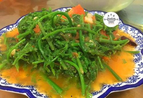 水瓜尖可以吃,绿色餐桌上的美味佳肴