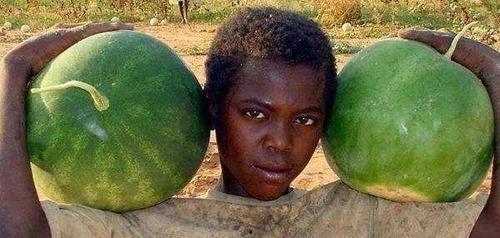 美国五胞胎吃瓜,美国五胞胎的甜蜜“吃瓜”之旅