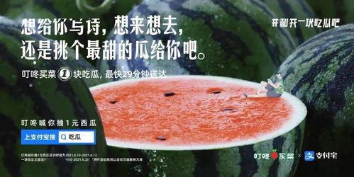 吃瓜图文案,吃瓜群众眼中的明星幕后故事