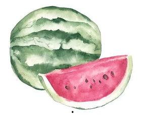 吃瓜腰包,潮流新词背后的消费文化现象