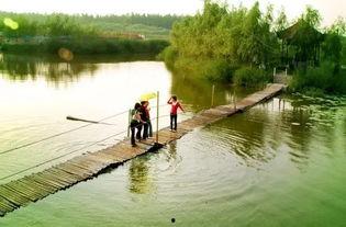 浮龙湖骑行吃瓜,夏日悠闲生活体验记
