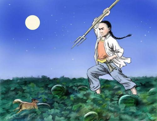 田里吃瓜的猹,夏日田园风情画卷