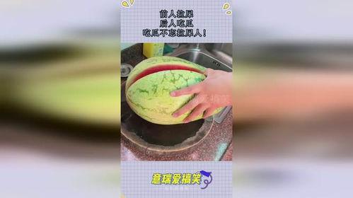 吃瓜拉屎软,探寻生活琐碎中的趣味与哲理