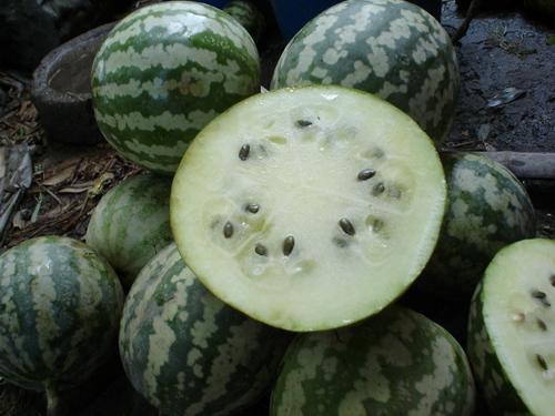 新疆京瓜怎么吃,解锁美味新体验