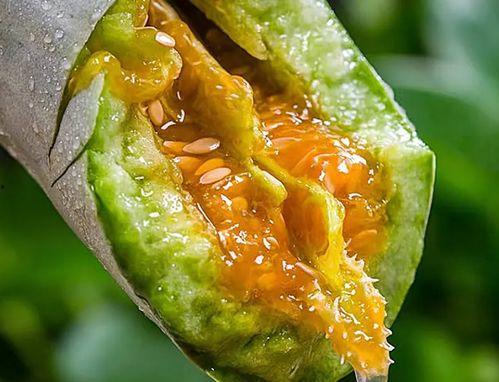 茬儿吃瓜,揭秘娱乐圈背后的那些事儿