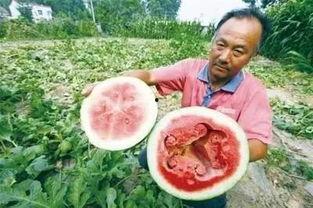 理发也不影响吃瓜,轻松应对生活琐事