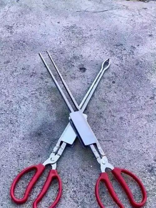 吃瓜夹子音,揭秘吃瓜夹子音的流行之谜