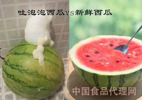 泡泡吃的瓜是什么瓜,揭秘泡泡所爱的神秘瓜种