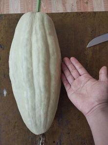 小瓜叶怎么吃煮汤,家常美味，营养满分