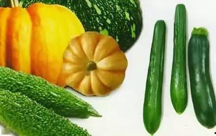 进村吃瓜,一场别开生面的“吃瓜”盛宴