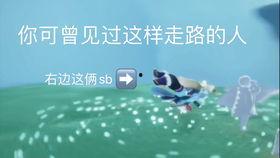 光遇练琴吃瓜,音乐与瓜果的奇妙邂逅