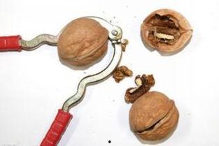 胡桃夹子吃瓜,一场奇幻的糖果之旅